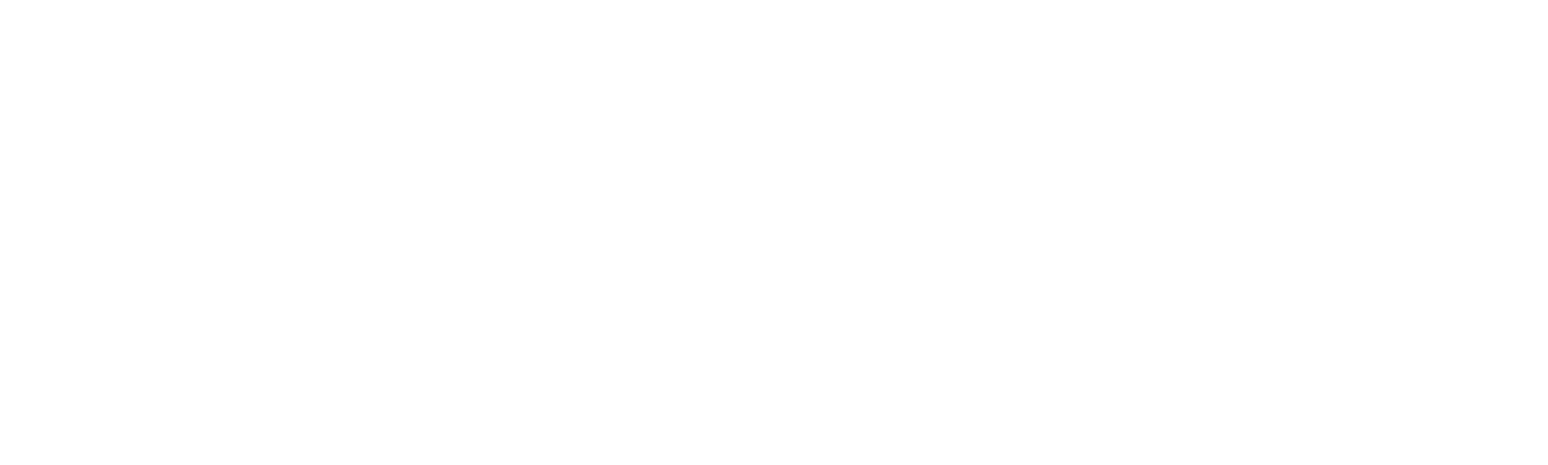 large-logo